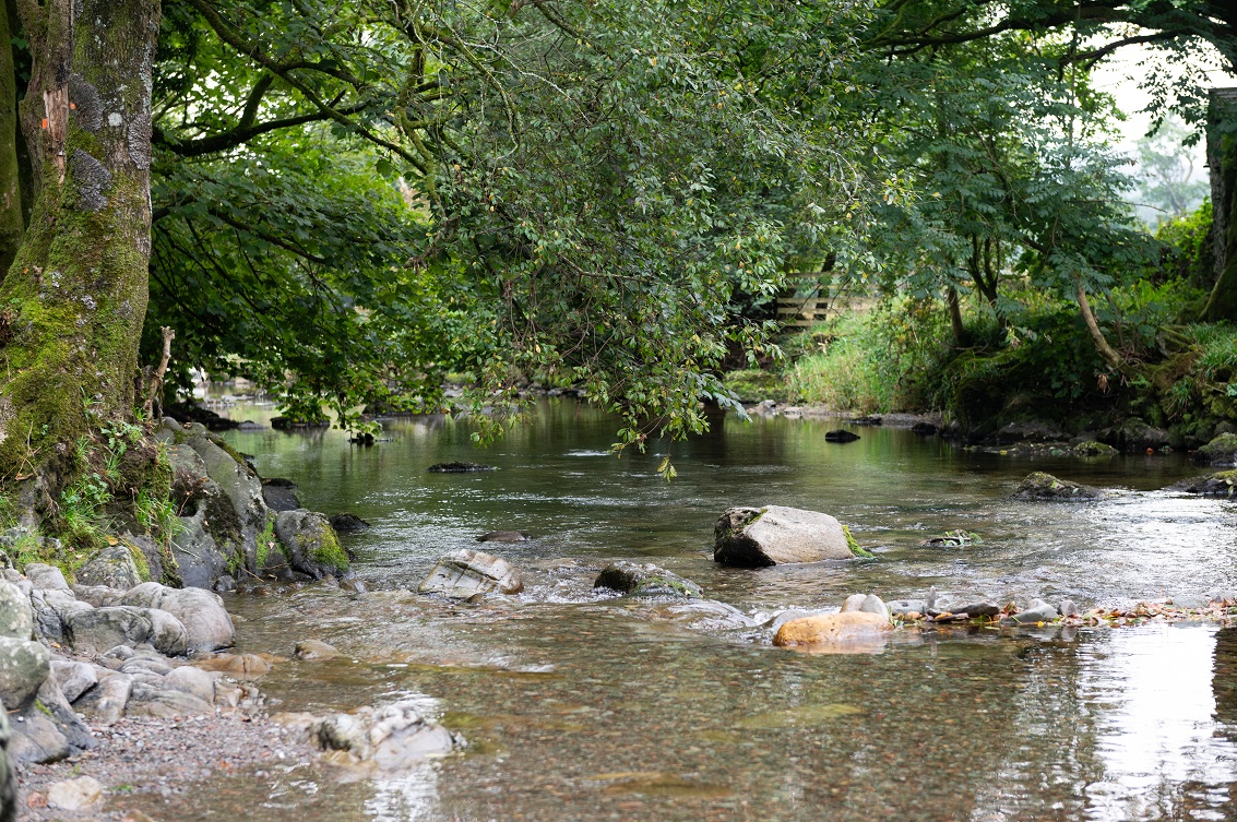 Image of a river