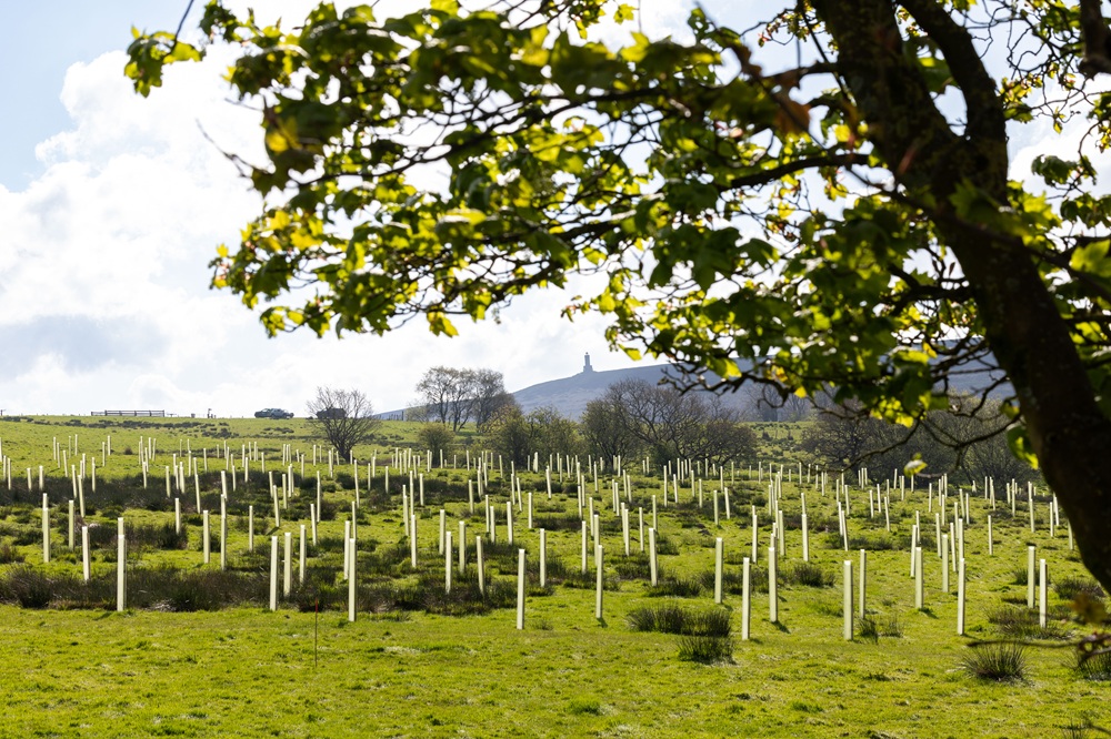 UU Roddlesworth Tree Planting