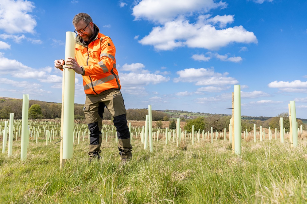 UU Roddlesworth Tree Planting