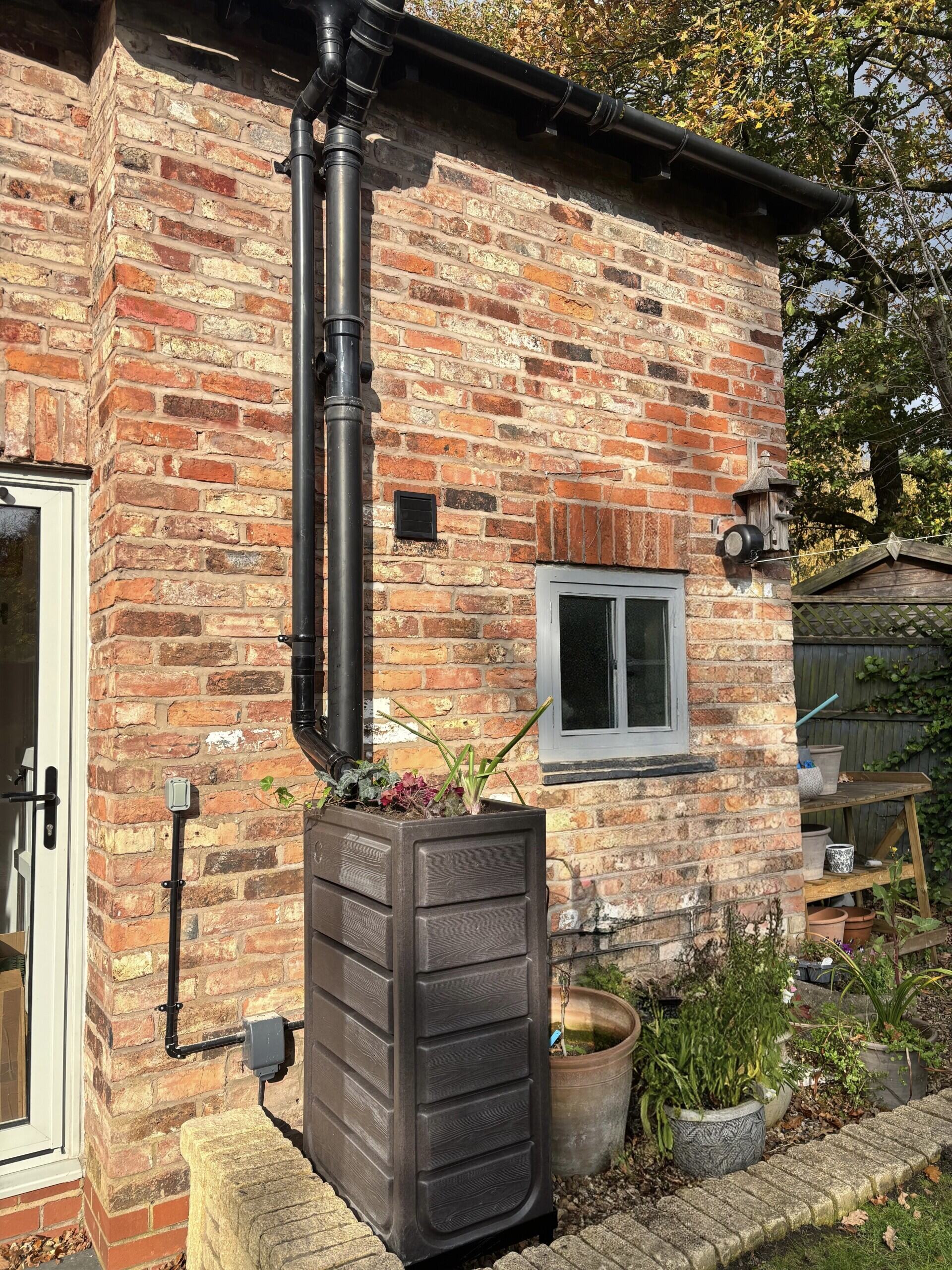 Planter connected to drain pipe