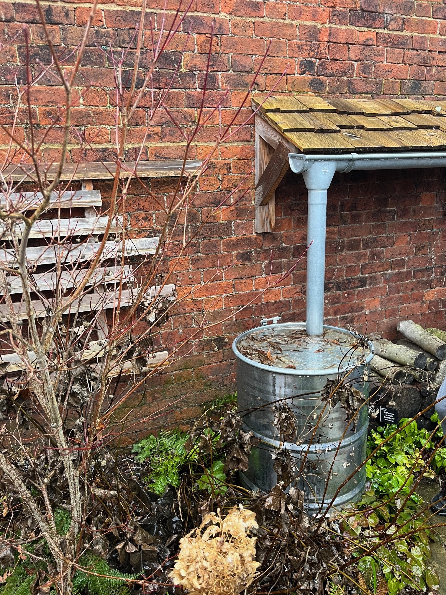 Drain pipe water butt