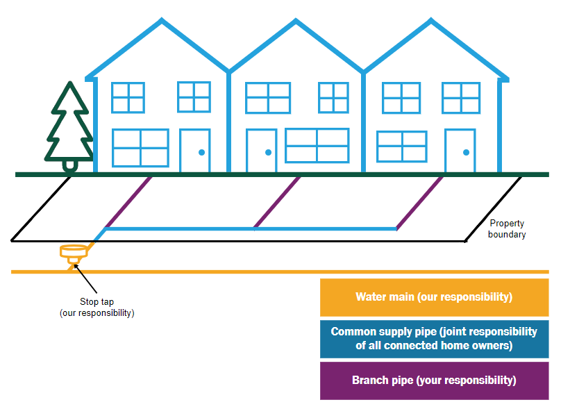 Shared Supply Pipe Graphic
