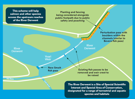 Next improvement project diagram Diagram of next improvement project
