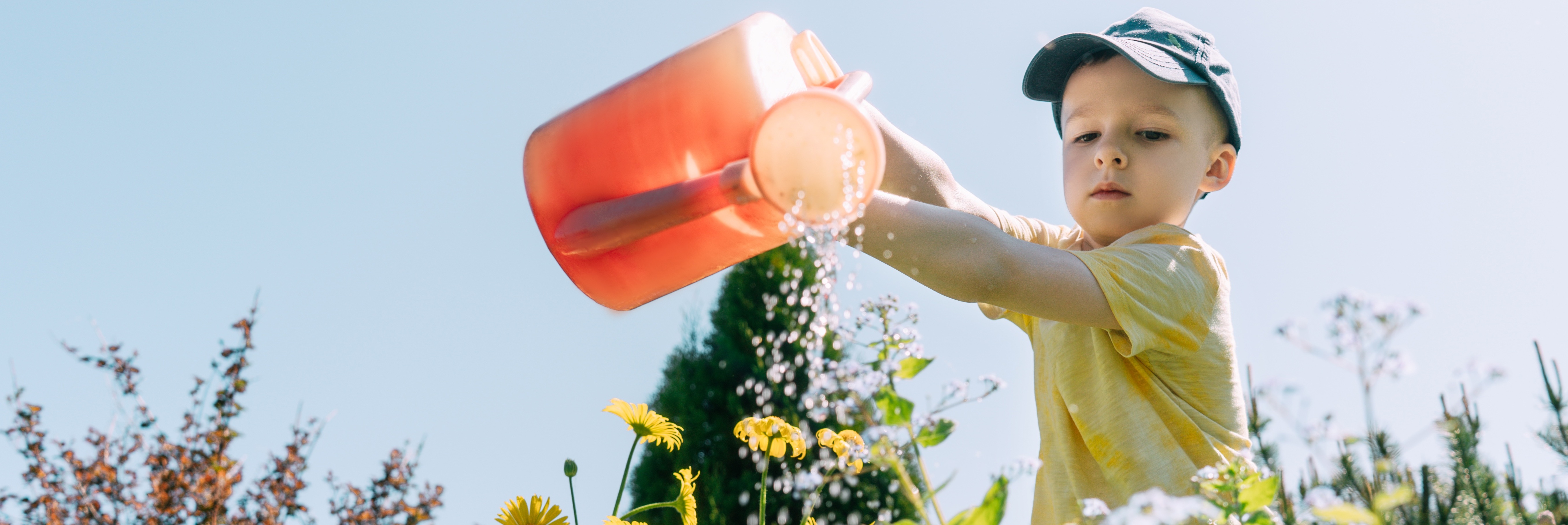 A quicker shower saves water and power