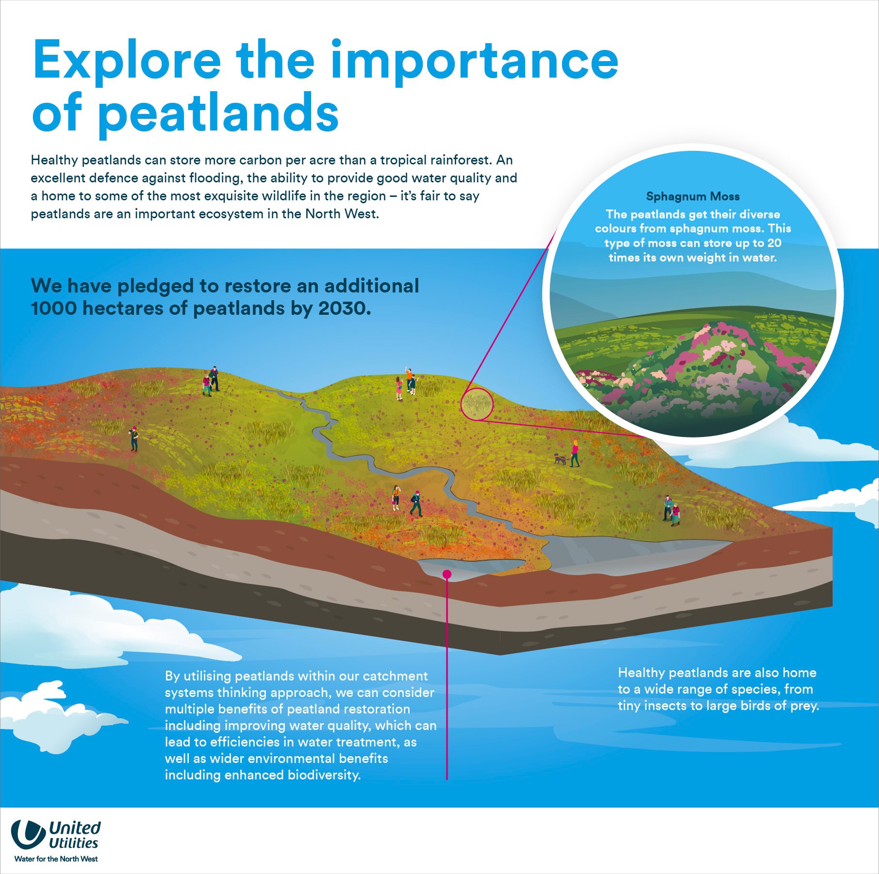 Peatlands Infographic