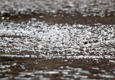 Rainfall