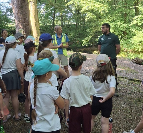 Windermere primary school learning session